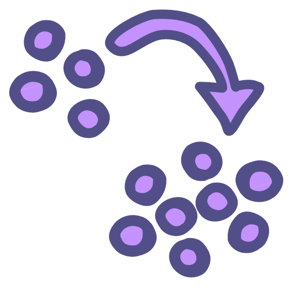 4 purple circles with an arrow starting near then and curving to a group of 8 purple circles.